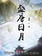 《盛唐日月》小说封面