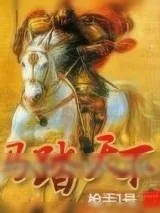 《马踏天下》小说封面