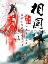 《相国》小说封面