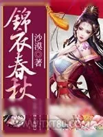 《锦衣春秋》小说封面