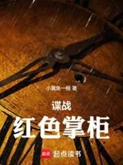《谍战：红色掌柜》小说封面