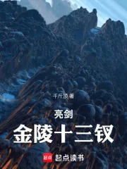 《亮剑金陵十三钗》小说封面