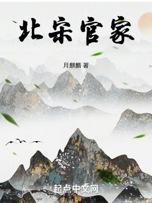 《北宋官家》小说封面