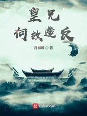 《皇兄何故造反？》小说封面