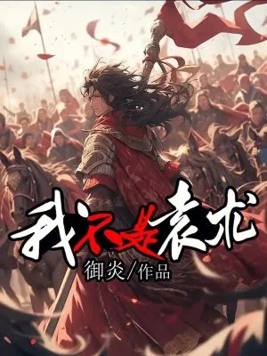 《我不是袁术》小说封面