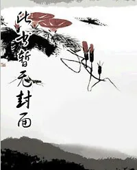 《大明：我崇祯绝不上吊》小说封面