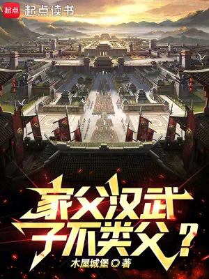 《家父汉武，子不类父？》小说封面