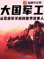 《大国军工：从垫底军火商到世界话事人》小说封面