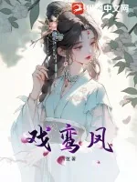 《戏鸾凤》小说封面