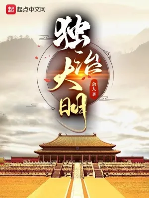 《独治大明》小说封面