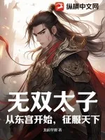 《无双太子：从东宫开始，征服天下》小说封面