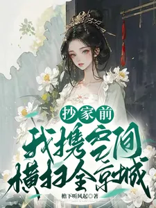 《抄家前,我携空间横扫全京城》小说封面