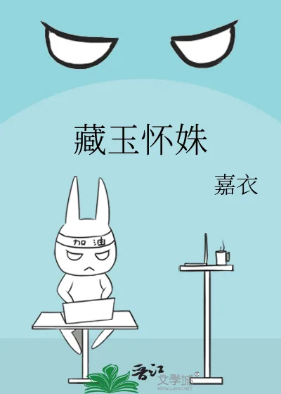 《藏玉怀姝》小说封面