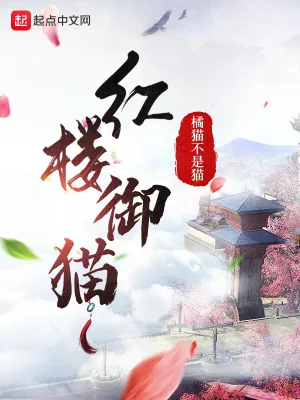 《红楼御猫》小说封面