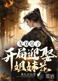《无双皇子：开局迎娶姐妹花》小说封面