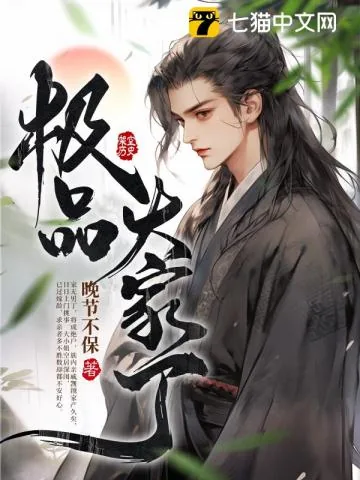 《极品大家丁》小说封面