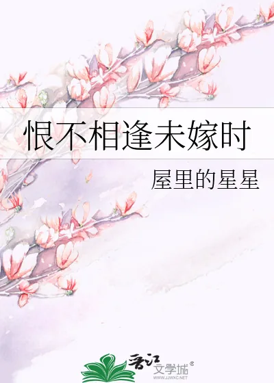 《恨不相逢未嫁时》小说封面