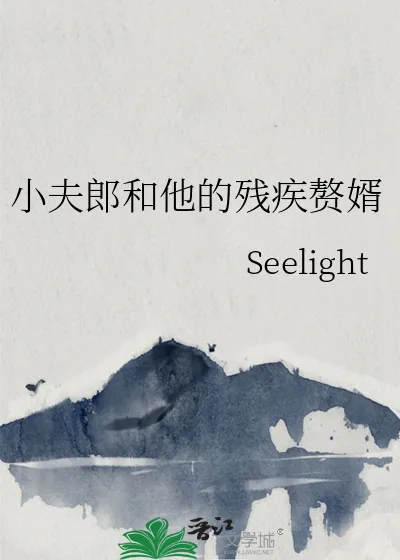 《小夫郎和他的残疾赘婿》小说封面