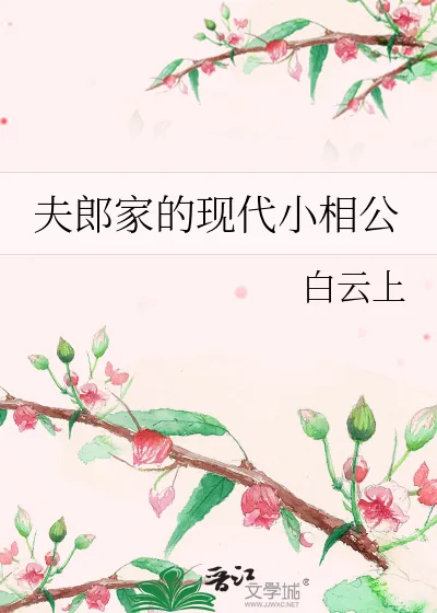 《夫郎家的现代小相公》小说封面