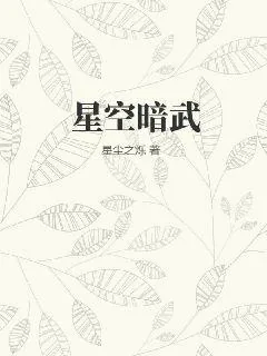 《星空暗武》小说封面