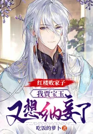 《红楼败家子：我贾宝玉，又想纳妾了》小说封面
