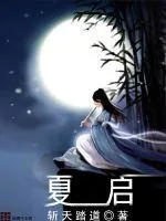 《夏启》小说封面