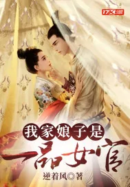 《我家娘子是一品女官》小说封面