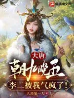 《大唐:朝九晚五,李二被我气疯了!》小说封面