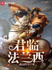 《君临法兰西》小说封面