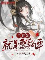 《当弃妃就是要躺平》小说封面