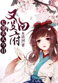 《七爷，夫人今日又没回府》小说封面