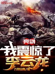 《亮剑：我震惊了李云龙》小说封面