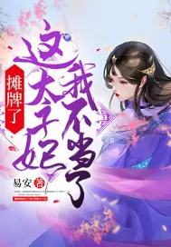 《摊牌了！这太子妃我不当了》小说封面