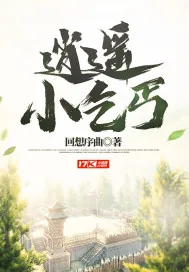 《逍遥小乞丐》小说封面