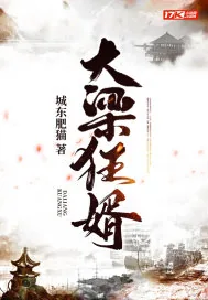 《大梁狂婿》小说封面