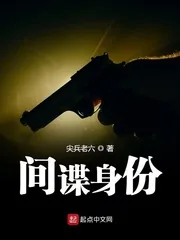 《间谍身份》小说封面