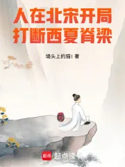 《人在北宋，开局打断西夏脊梁！》小说封面