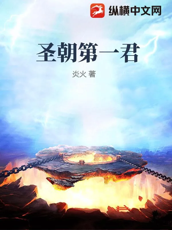 《圣朝第一君》小说封面