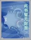 《变臣》小说封面