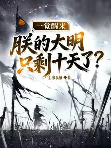 《一觉醒来,朕的大明只剩十天了?》小说封面