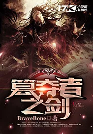 《篡夺者之剑》小说封面