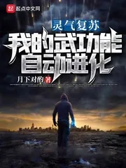 《灵气复苏：我的武功能自动进化》小说封面