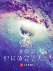《诸天之配角的完美人生》小说封面