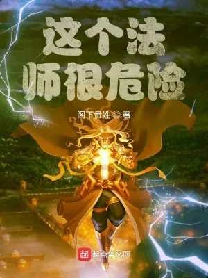 《这个法师很危险》小说封面
