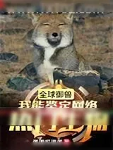 《凶兽图鉴》小说封面