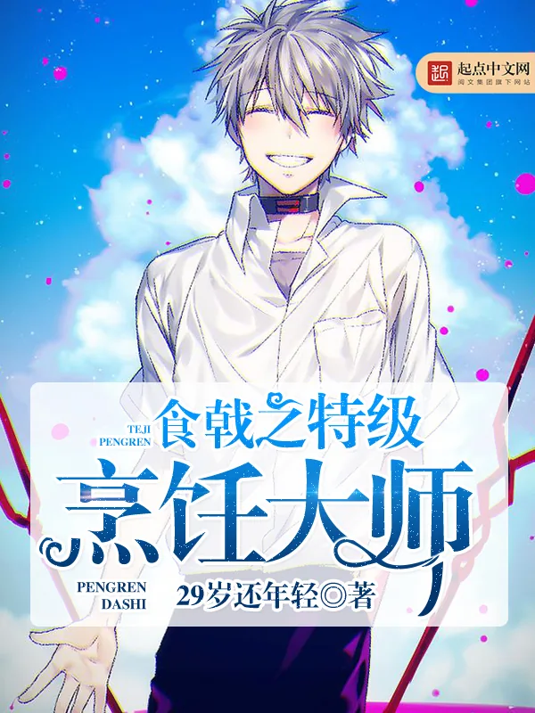 《食戟之特级烹饪大师》小说封面
