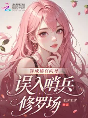 《穿成稀有向导,误入哨兵修罗场》小说封面