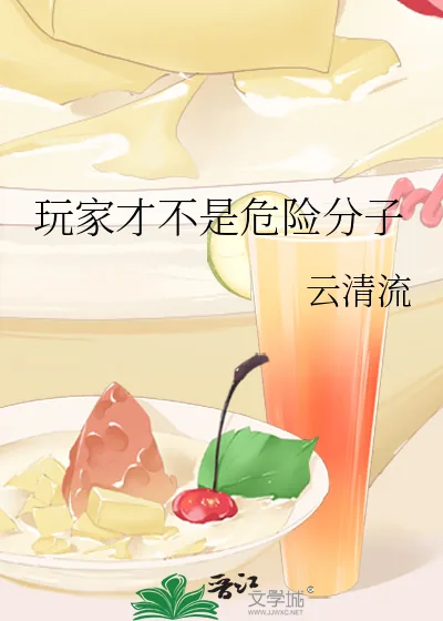 《玩家才不是危险分子》小说封面