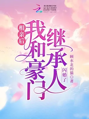 《相亲后,我和豪门继承人闪婚了》小说封面
