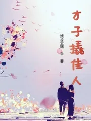 《才子撬佳人》小说封面